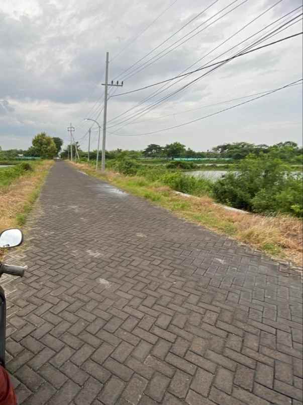 dijual cepat tanah murah di duduksampeyan gresik