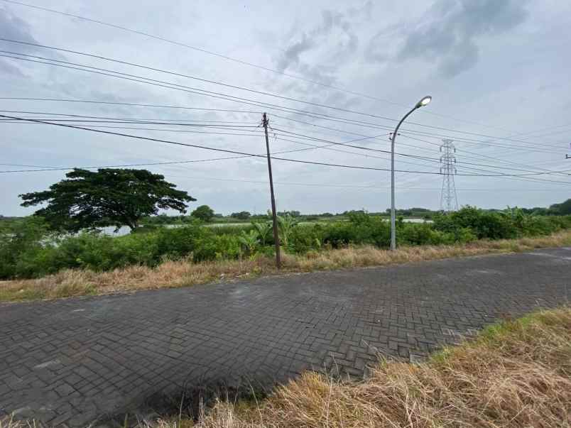 dijual cepat tanah murah di duduksampeyan gresik