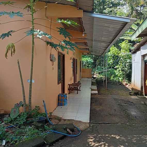 dijual kost di gang kedawung unnes semarang