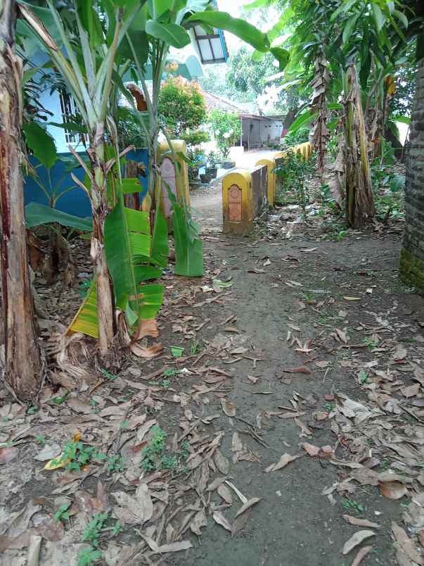 dijual murah tanah darat lokasi strategis