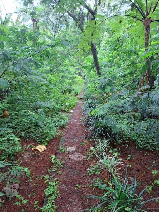 dijual murah villa dan tanah dekat puncak pass