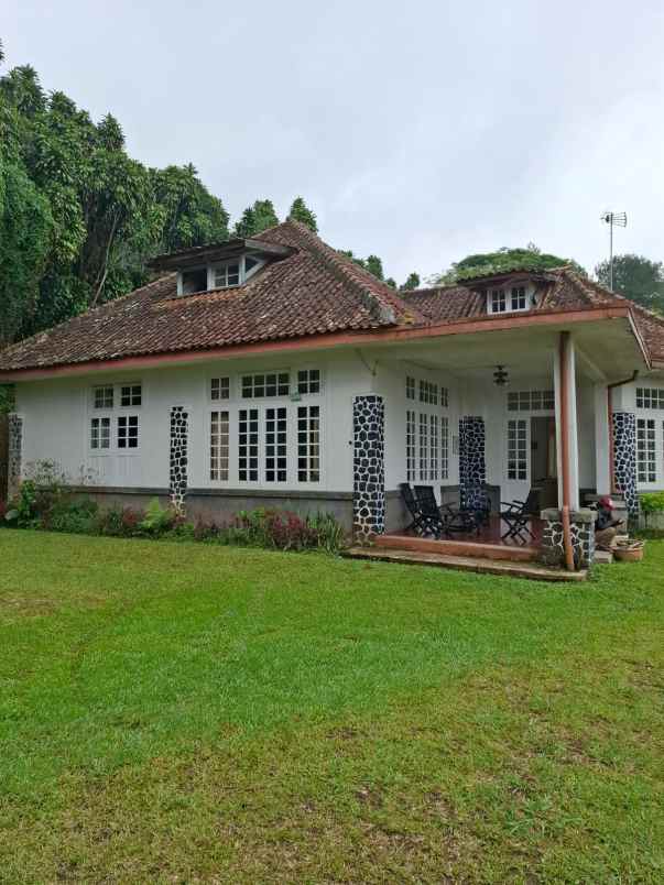 dijual murah villa dan tanah dekat puncak pass