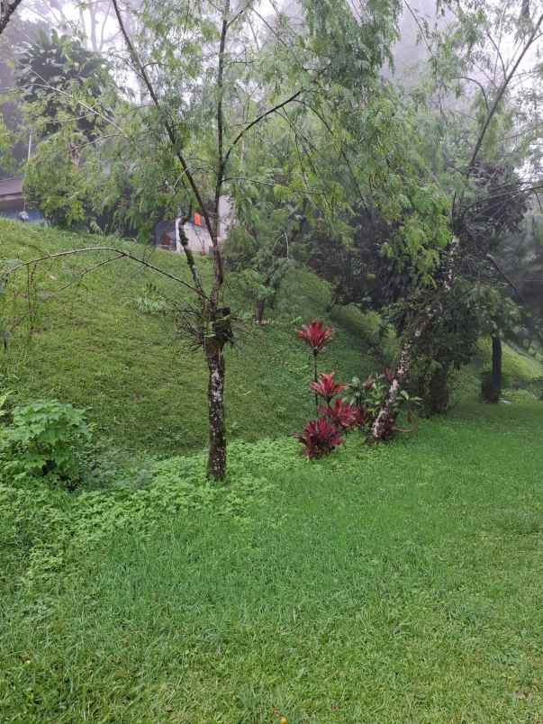 dijual murah villa dan tanah dekat puncak pass