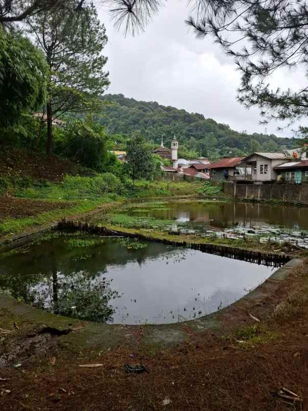 dijual murah villa dan tanah dekat puncak pass