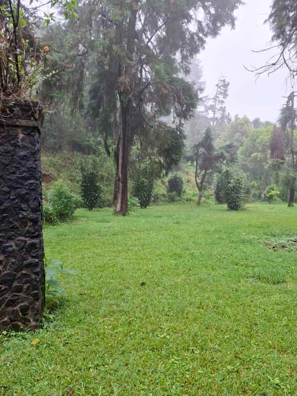 dijual murah villa dan tanah dekat puncak pass