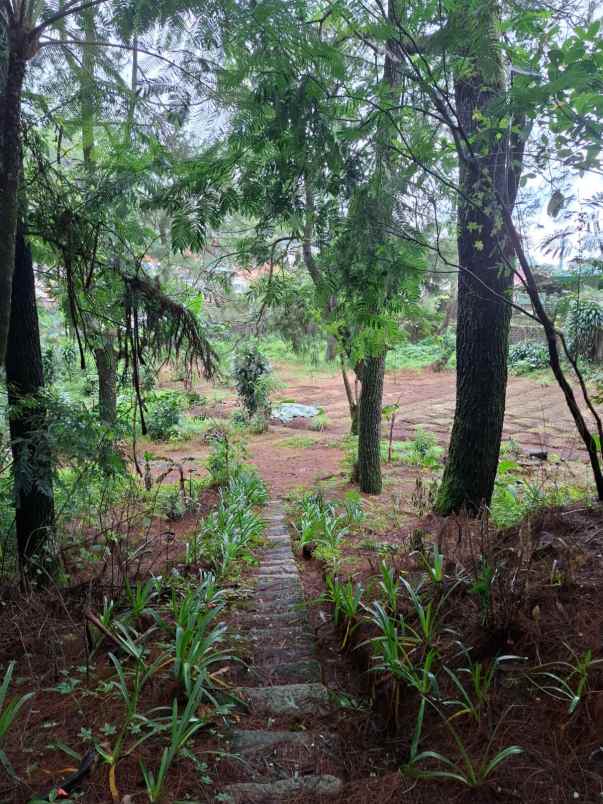 dijual murah villa dan tanah dekat puncak pass