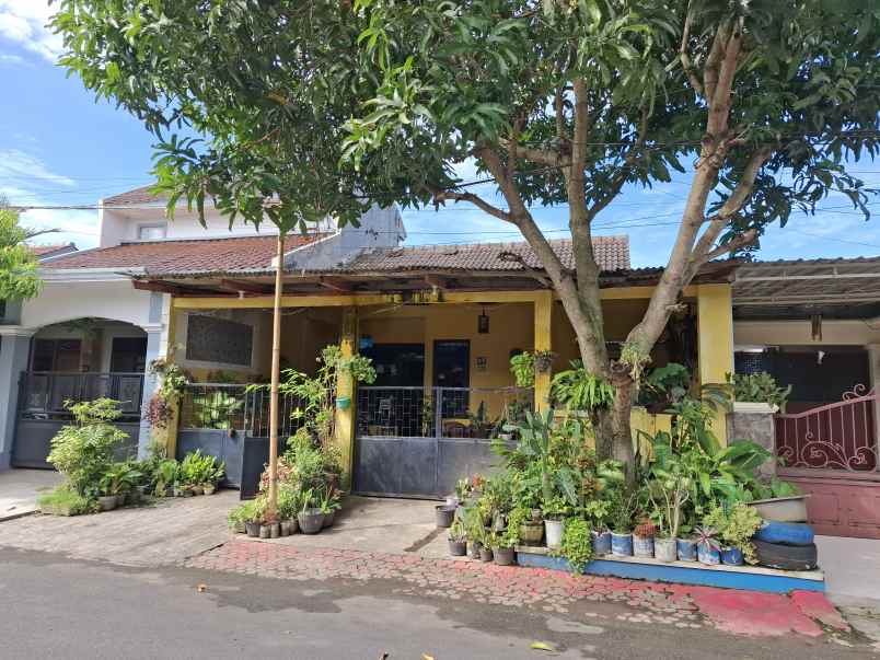dijual rumah di perumahan griya mangli indah jember