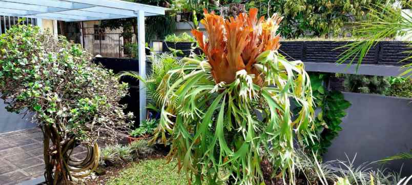 dijual rumah gerlong permai