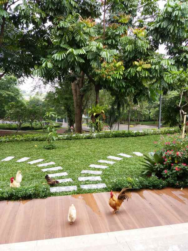 dijual rumah jagakarsa