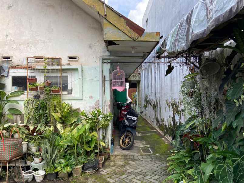 dijual rumah jalan buah buah dekat raya