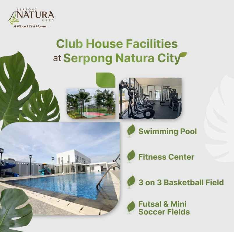 dijual rumah jalan raya serpong