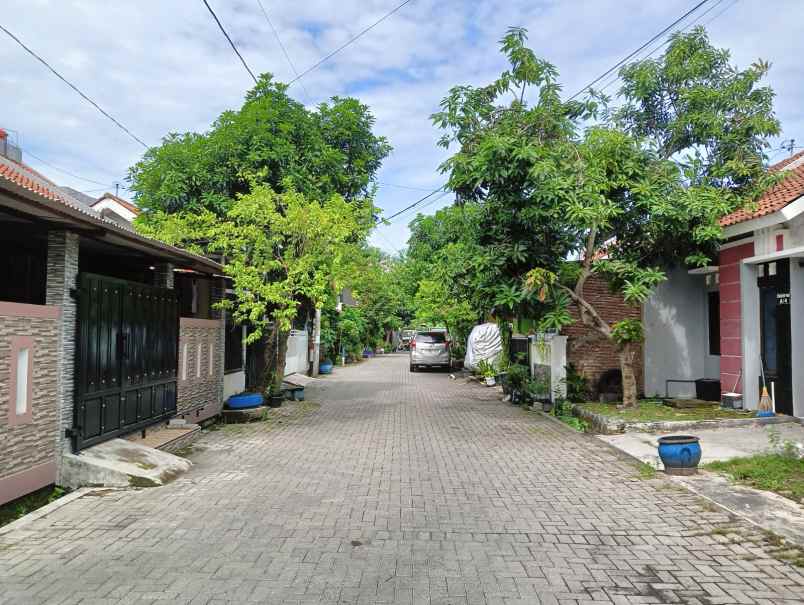dijual rumah jalan zebra