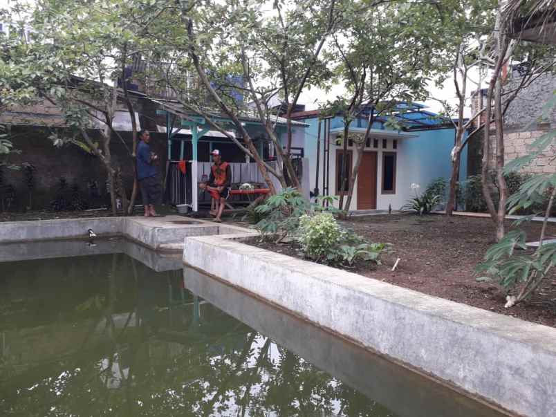dijual rumah jl karakal jambu luwuk kec