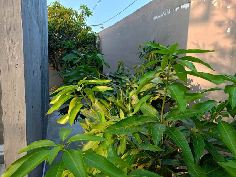 dijual rumah perumahan green residence