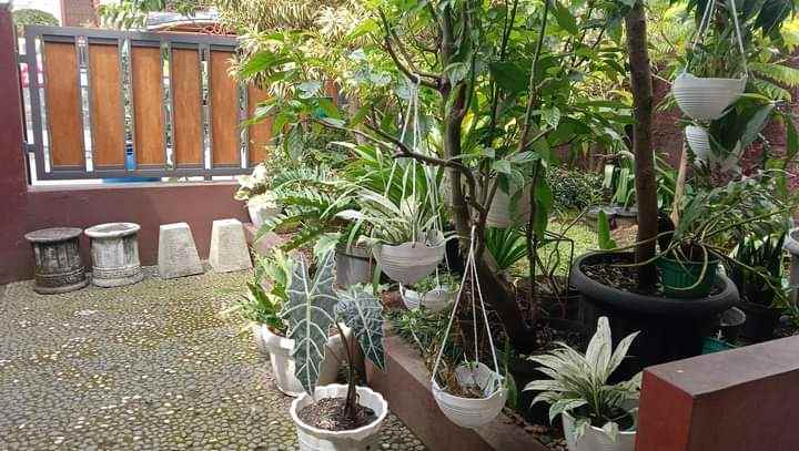 dijual rumah pondok hijau