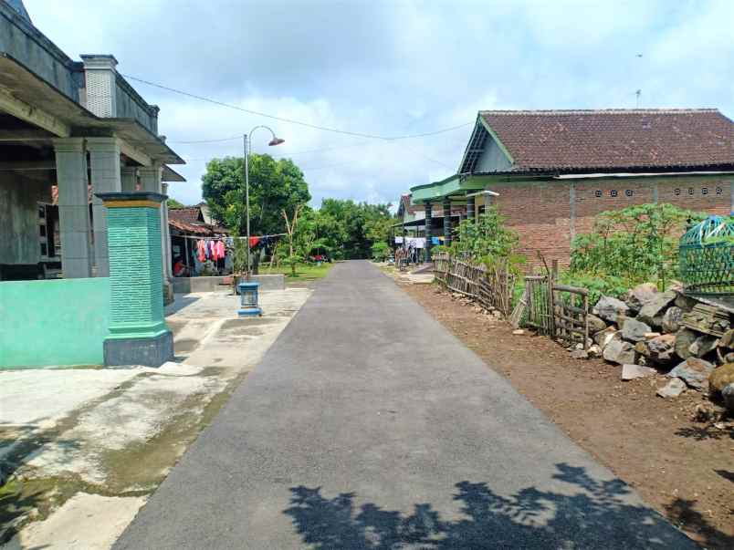 dijual sawah produktif 3500m kedawung sragen