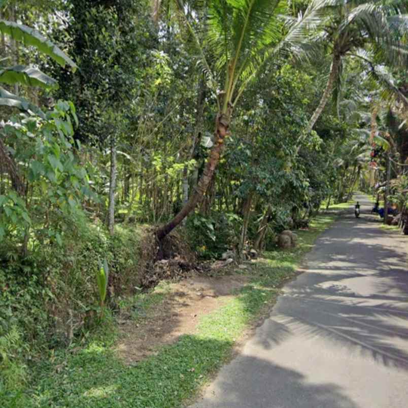 dijual tanah abiansemal