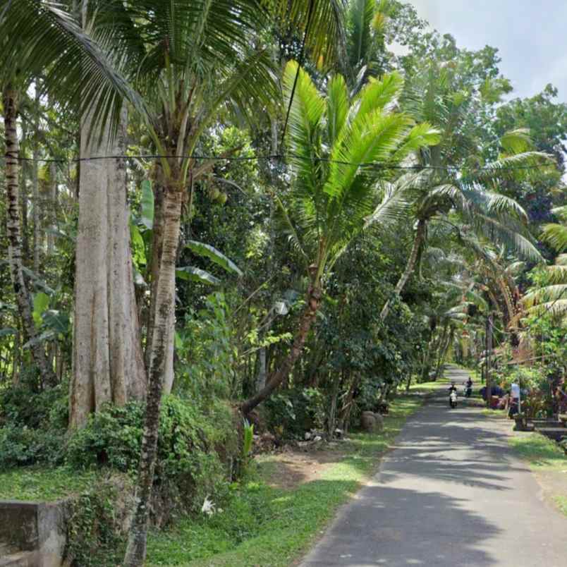 dijual tanah abiansemal