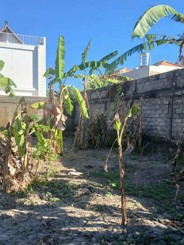 dijual tanah badak agung utara