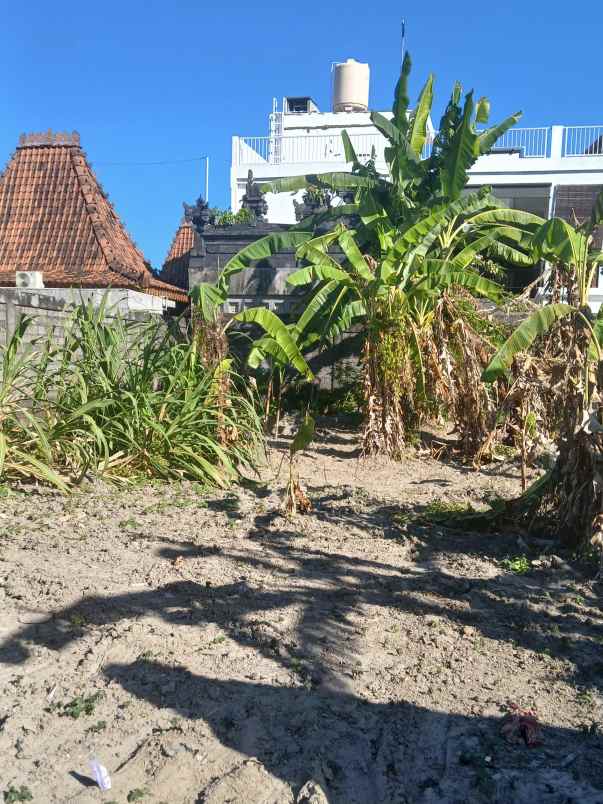 dijual tanah badak agung utara