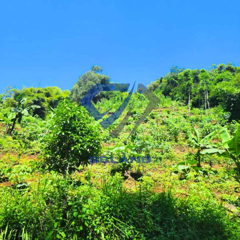 dijual tanah bandung pangalengan