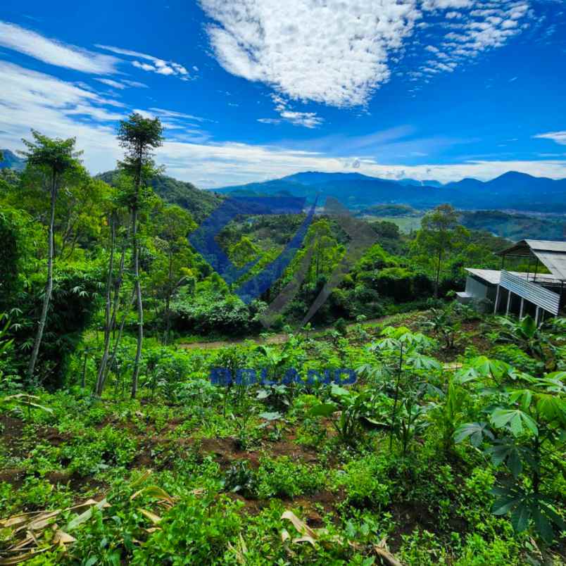 dijual tanah bandung pangalengan