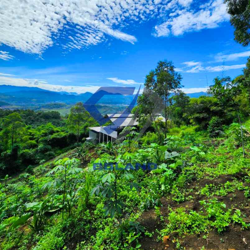 dijual tanah bandung pangalengan