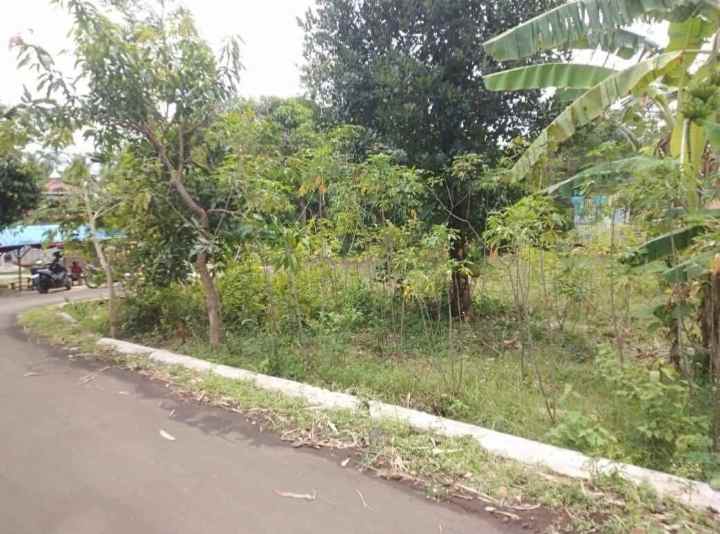 dijual tanah beber