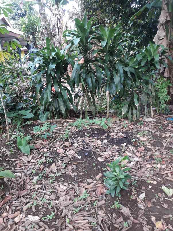 dijual tanah bitungsari ciawi kabupaten