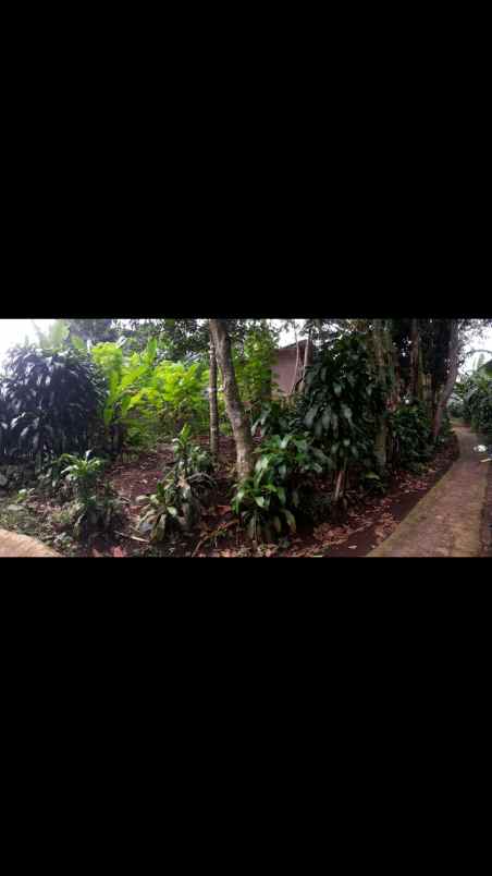 dijual tanah bitungsari ciawi kabupaten