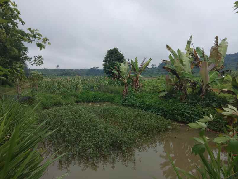 dijual tanah bojong cilimus kuningan