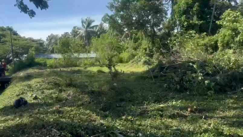 dijual tanah bonian selemadeg barat