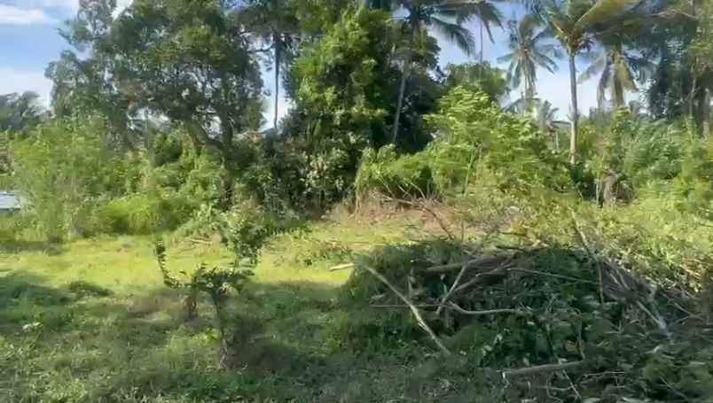 dijual tanah bonian selemadeg barat