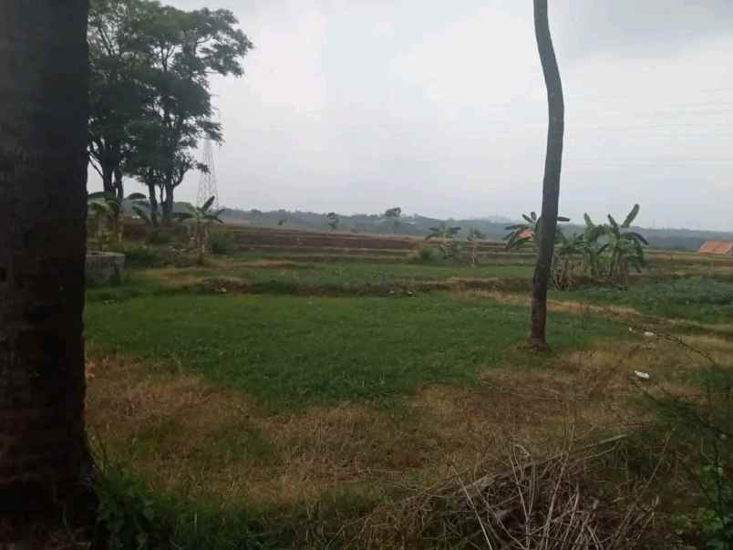 dijual tanah ciperna