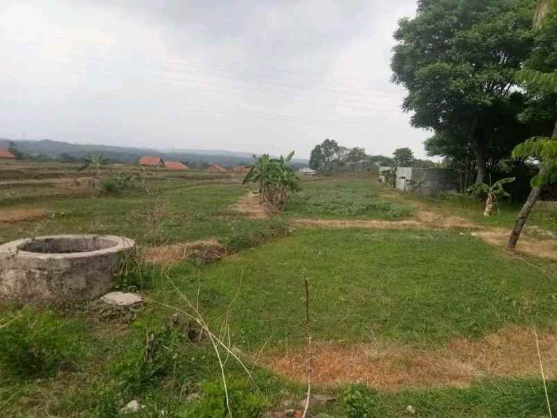 dijual tanah ciperna