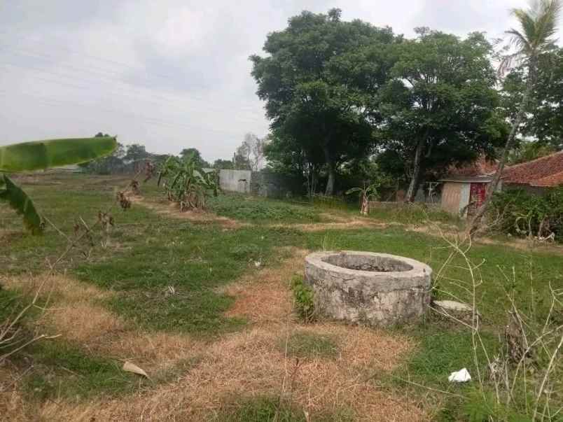 dijual tanah ciperna