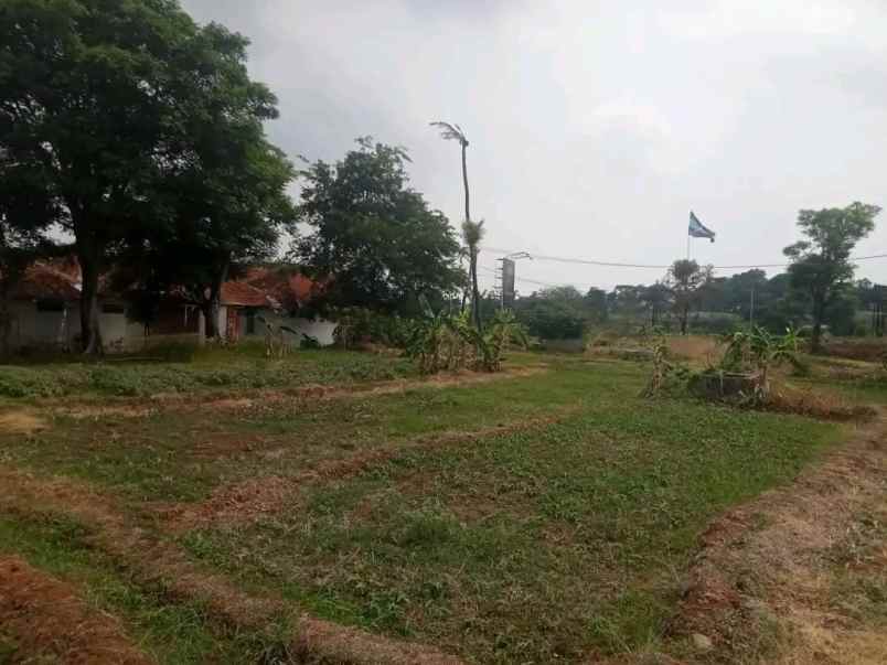 dijual tanah ciperna