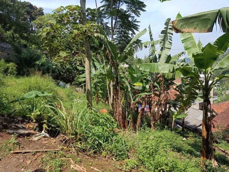 dijual tanah citra green dago