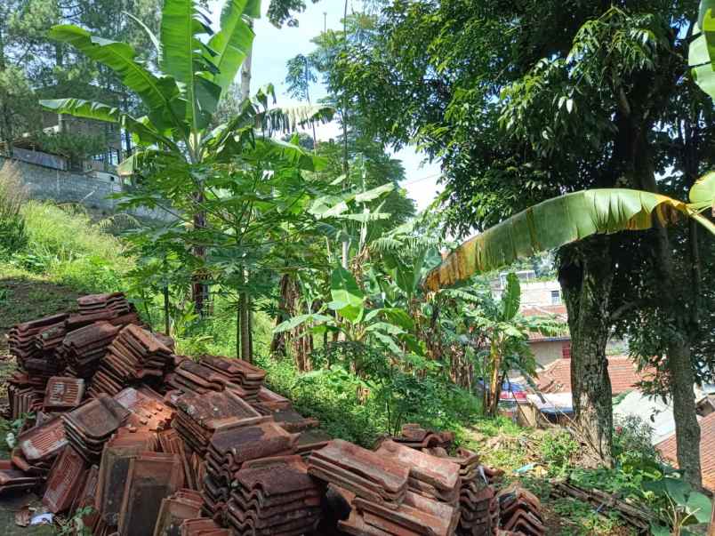 dijual tanah citra green dago