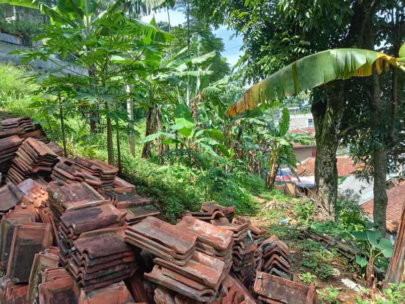 dijual tanah citra green dago