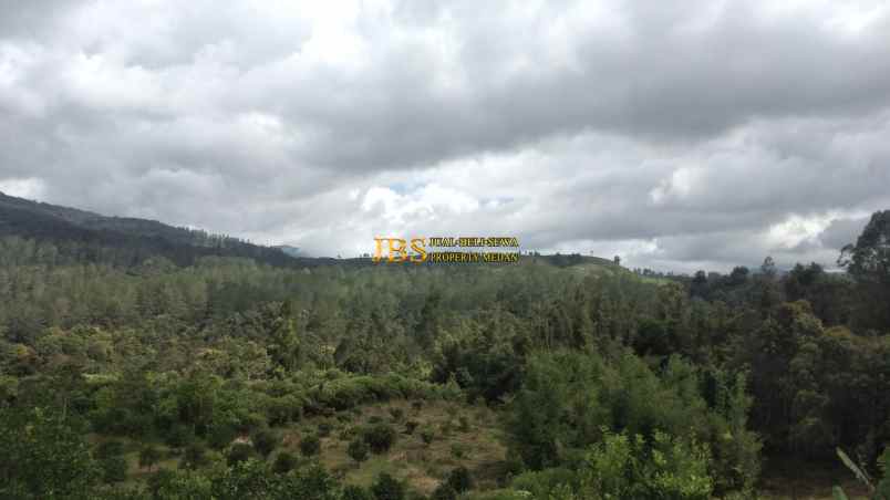 dijual tanah daerah karo desa lau riman