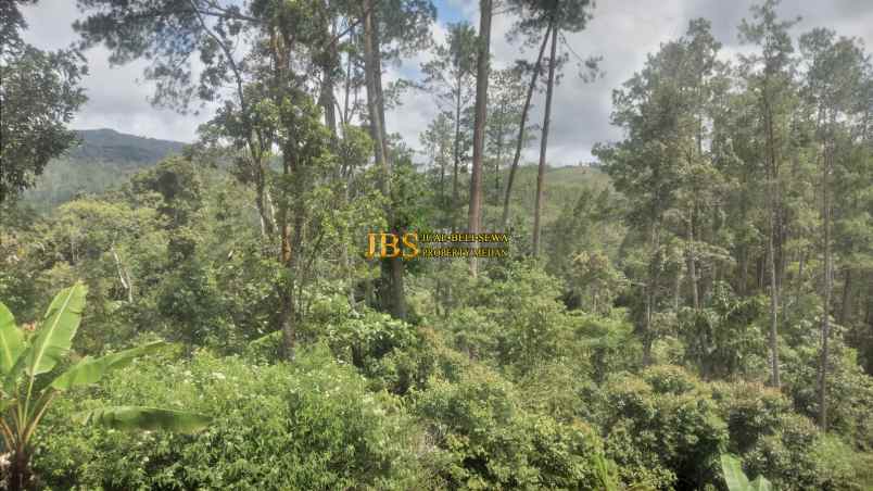 dijual tanah daerah karo desa lau riman