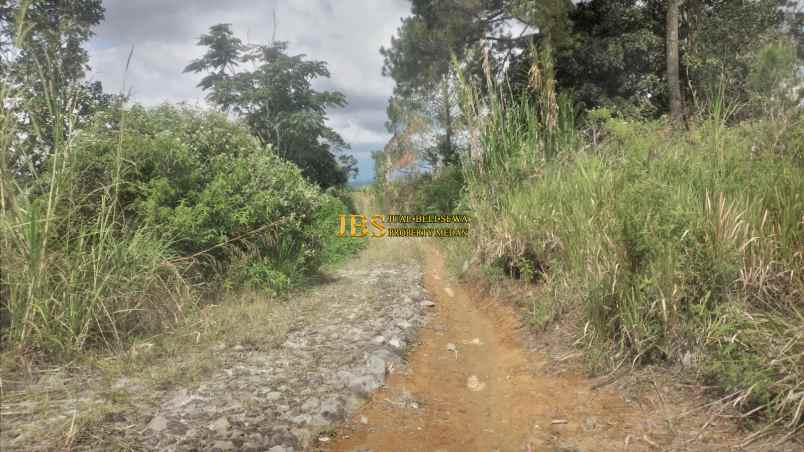 dijual tanah daerah karo desa lau riman