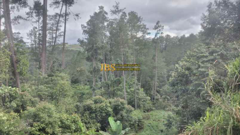 dijual tanah daerah karo desa lau riman