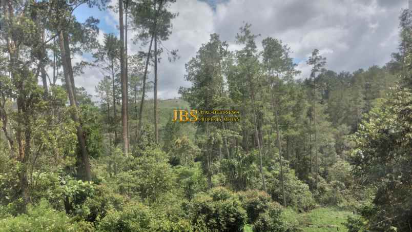 dijual tanah daerah karo desa lau riman