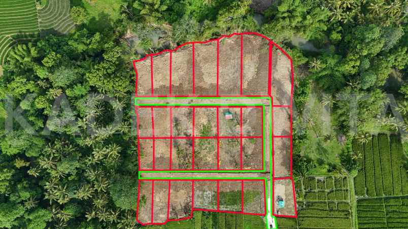 dijual tanah desa beraban