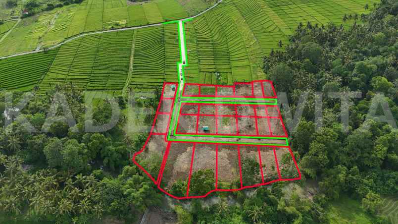 dijual tanah desa beraban