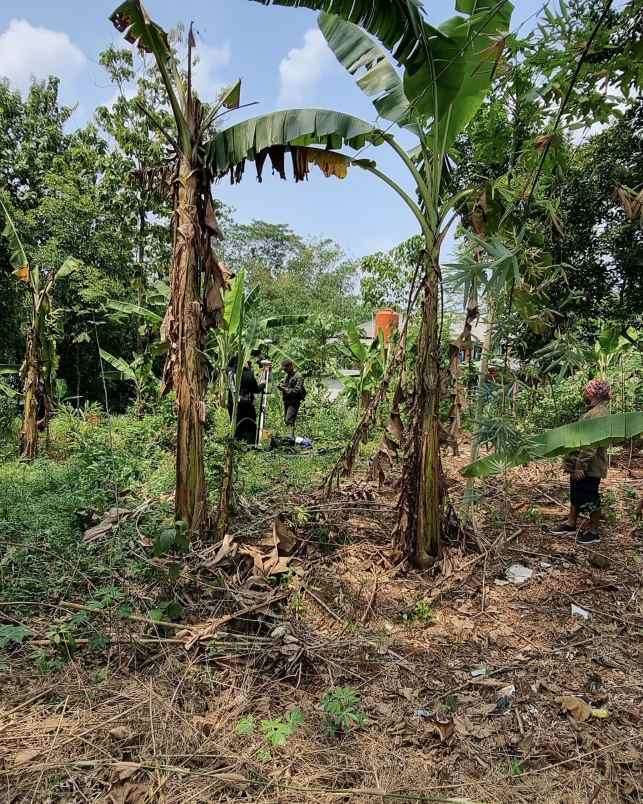 dijual tanah desa cibogo cinangsi