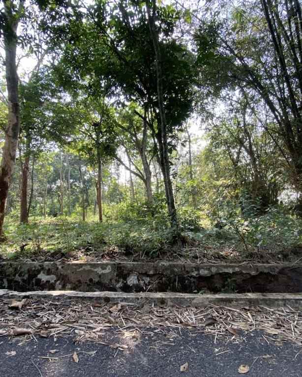 dijual tanah desa cibogo cinangsi