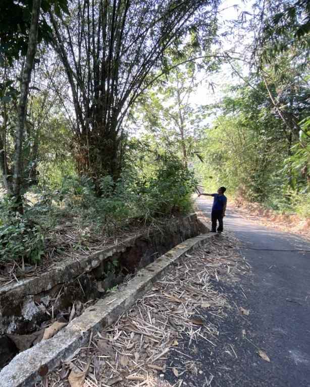 dijual tanah desa cibogo cinangsi